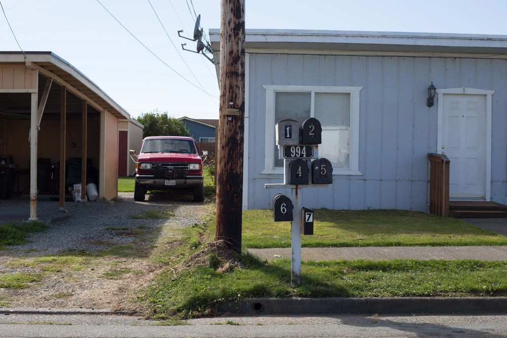 CC_redwoods_10_9_13-1web-1