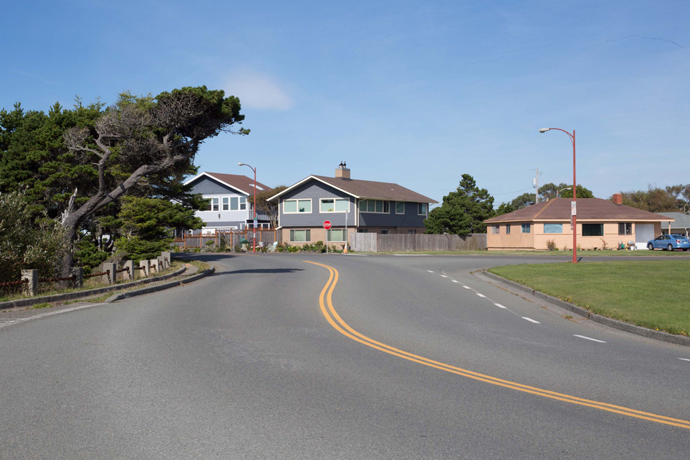 CC_redwoods_10_9_13-22web-1