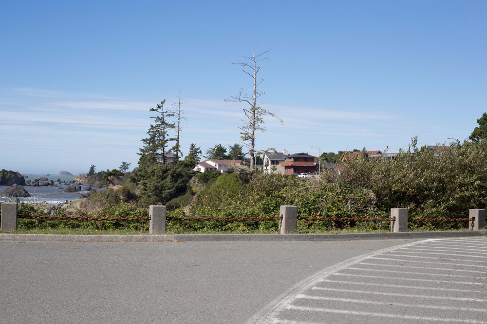 CC_redwoods_10_9_13-24web-1