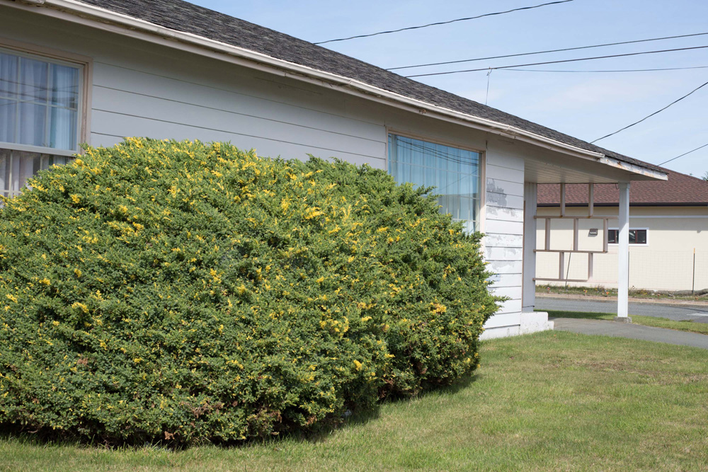 CC_redwoods_10_9_13-27web-1