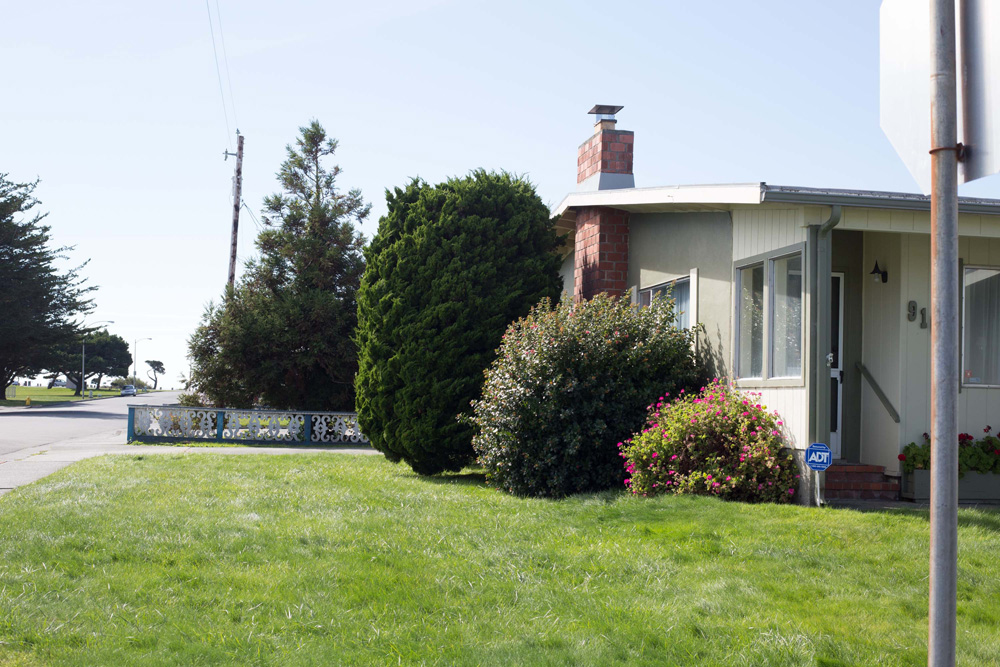 CC_redwoods_10_9_13-4web-1