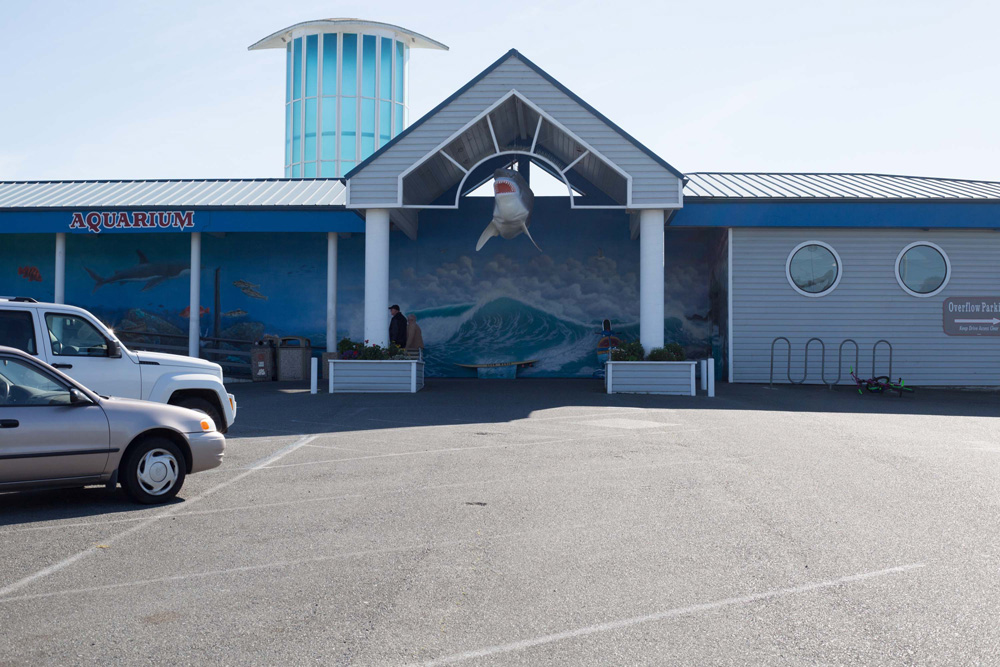 CC_redwoods_10_9_13-6web-1