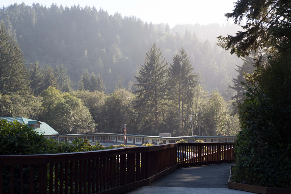 CC_redwoods_10_9_13-9web-1