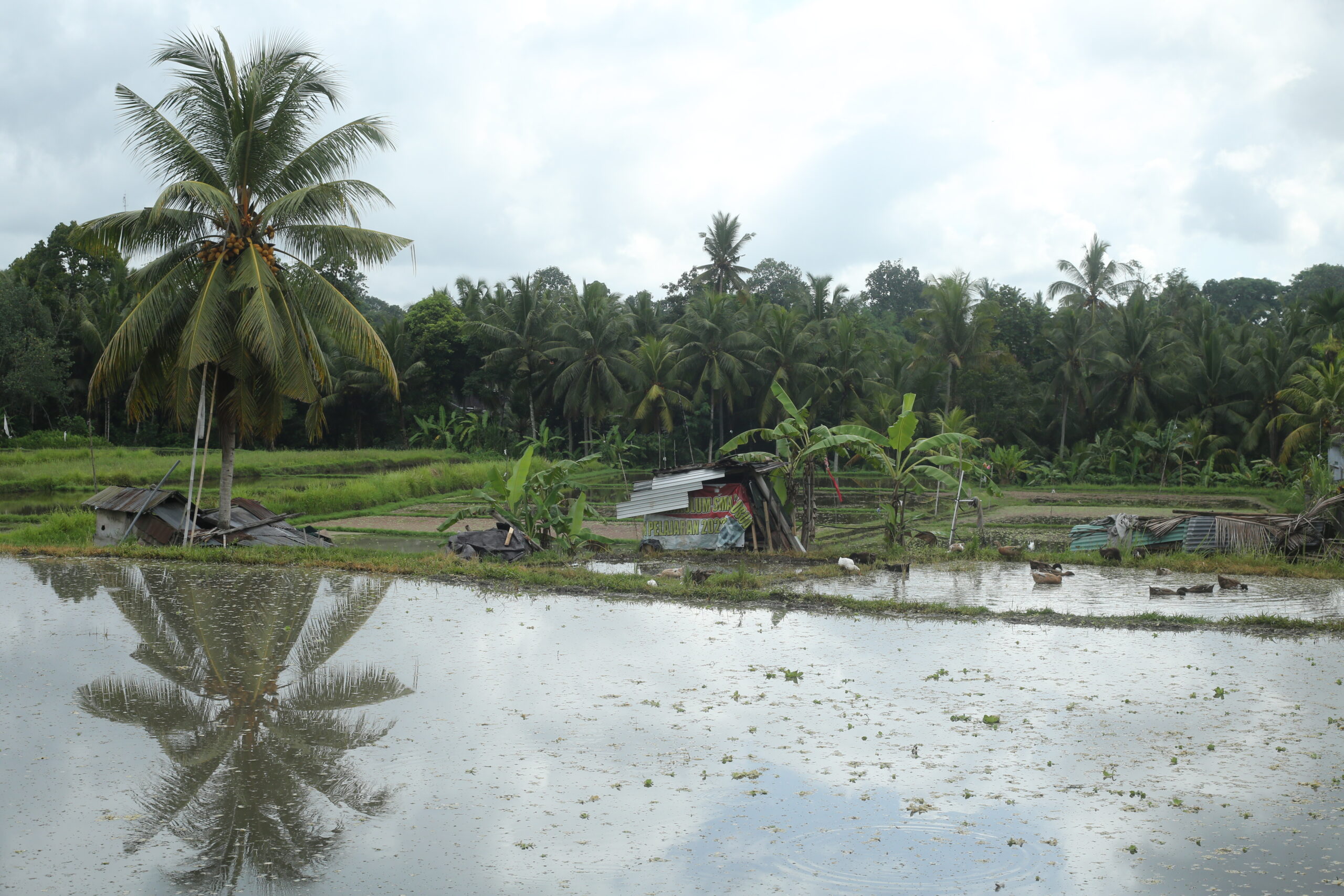 Bali